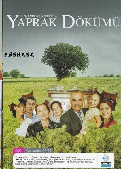 Седа Дэмир